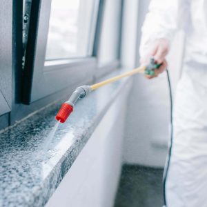 cropped image of pest control worker spraying pesticides on windowsill at home